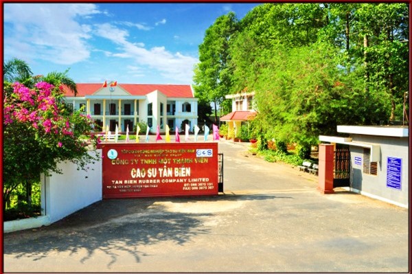 Hai công ty 'con' của Tập đoàn Cao su thu về hơn 5 tỷ từ đấu giá