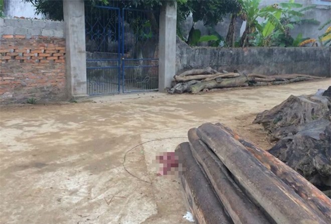 Cô giáo mầm non bị chồng cũ cứa cổ giữa đường vì cuồng ghen