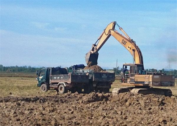 Nhập khẩu đất sét được miễn thủ tục kiểm dịch