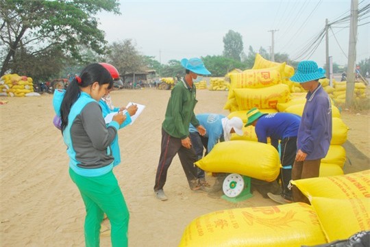 Giá thép, lúa gạo có xu hướng tăng trong nửa đầu tháng 3