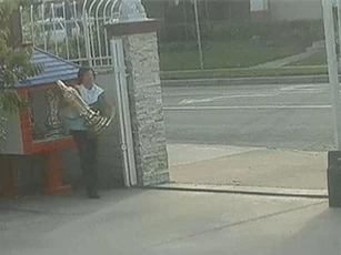 Phụ nữ gốc Việt trộm tượng Phật hàng nghìn USD tại Mỹ