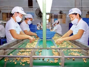 Quý I, nhập khẩu nông lâm thủy sản ước đạt 5,31 tỷ USD