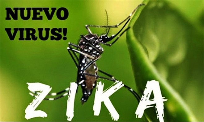 Bộ Y tế khẳng định Việt Nam chưa có ca nhiễm virus Zika
