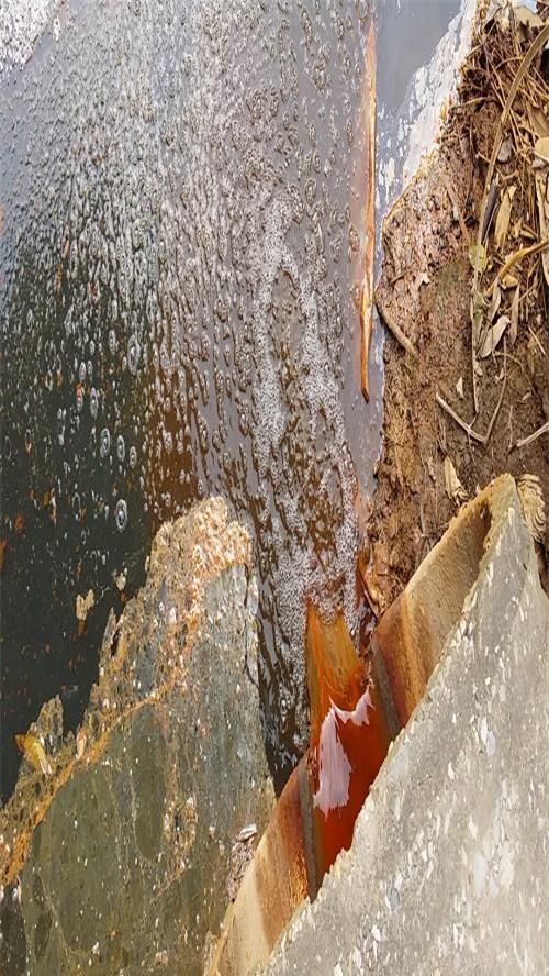  Thanh Trì: Nhiều doanh nghiệp xả thải “bức tử” môi trường xã Tam Hiệp?