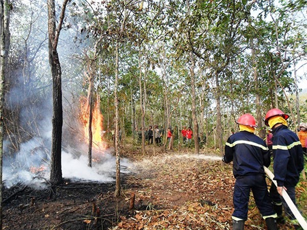 Thủ tướng Chỉ thị cấp bách phòng cháy, chữa cháy rừng