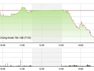 Sắc đỏ tràn ngập thị trường, VN - Index mất 8 điểm