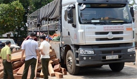 Che mắt công an chở gỗ lậu bằng cách dán logo báo chí
