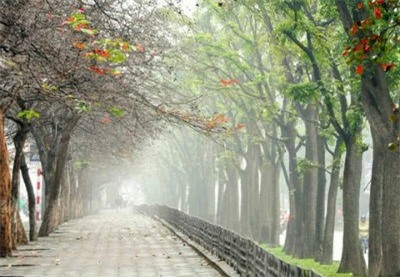 Dự báo thời tiết 3/4: Miền Bắc có mưa nhỏ, nhiệt độ tăng