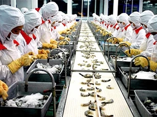 Nhật Bản cảnh báo chất lượng hàng thủy sản Việt Nam