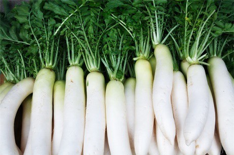 Lợi ích chữa bệnh tuyệt vời của củ cải