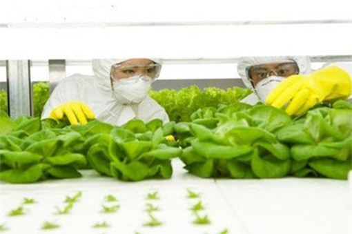 Giám sát chặt các cơ sở sản xuất kinh doanh thực phẩm