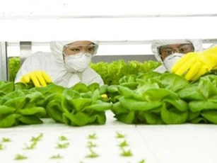 Giám sát chặt các cơ sở sản xuất kinh doanh thực phẩm