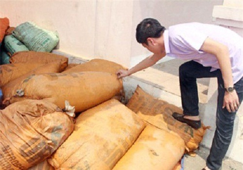 Nghệ An: Thu giữ 6 tấn măng bốc mùi hôi thối