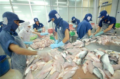 Cá tra, ba sa Việt Nam tiếp tục bị Mỹ áp thuế chống bán phá giá