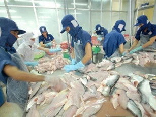 Cá tra, ba sa Việt Nam tiếp tục bị Mỹ áp thuế chống bán phá giá