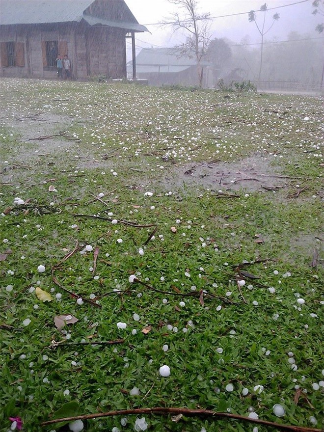 Nghệ An: 5 người bị thương, hàng trăm ngôi nhà bị tốc mái do mưa đá