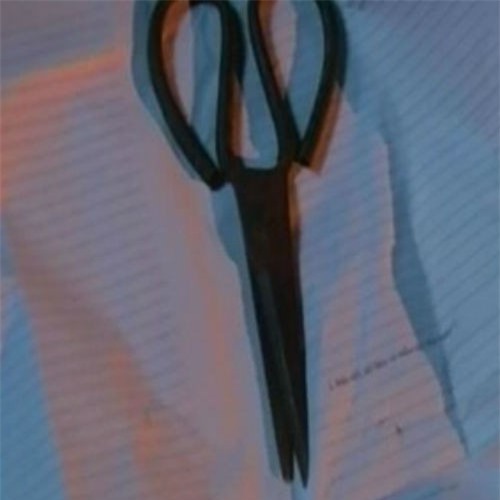 Con trai dùng kéo đâm chết cha ruột vì không đòi được sổ đỏ 