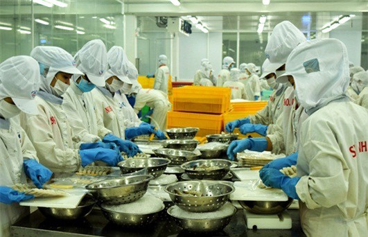 Vasep kiến nghị sớm hoàn thuế nhập khẩu thủy sản trước, kiểm tra sau