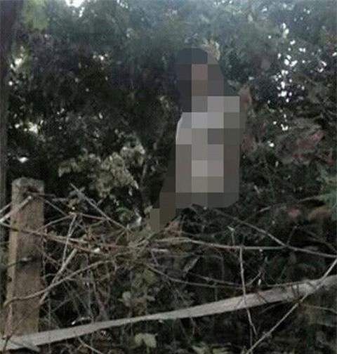 Bàng hoàng phát hiện xác nam sinh treo lủng lẳng trên cây