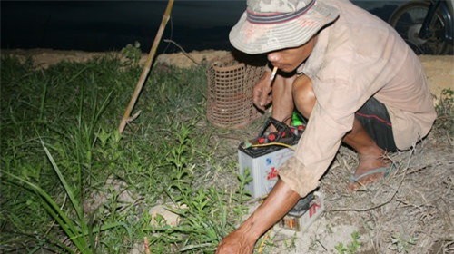 Hai thanh niên tử vong do dính bẫy chuột bằng điện