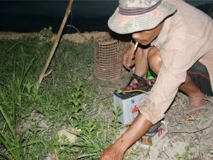 Hai thanh niên tử vong do dính bẫy chuột bằng điện