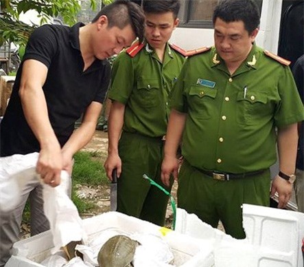 Bắt xe khách vận chuyển ba ba cùng lô hoá chất nhập lậu