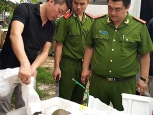 Bắt xe khách vận chuyển ba ba cùng lô hoá chất nhập lậu