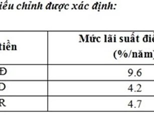 VAMC giảm lãi suất các khoản nợ xấu bằng EUR