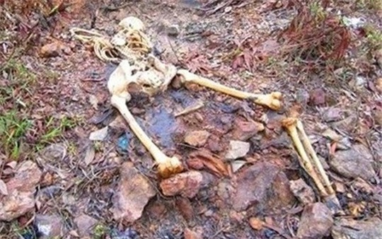 Hoảng hồn phát hiện bộ xương người khi vào rừng bắt ếch