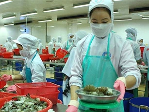 Việt Nam tăng xuất khẩu tôm sang thị trường Trung Quốc