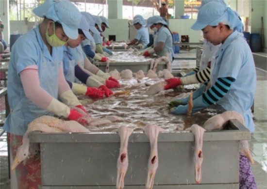 Siết chặt quản lý giết mổ gia súc, gia cầm và an toàn thực phẩm