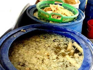 Nghệ An: Khẳng định cơ sở chế biến nhuộm măng bằng vàng ô