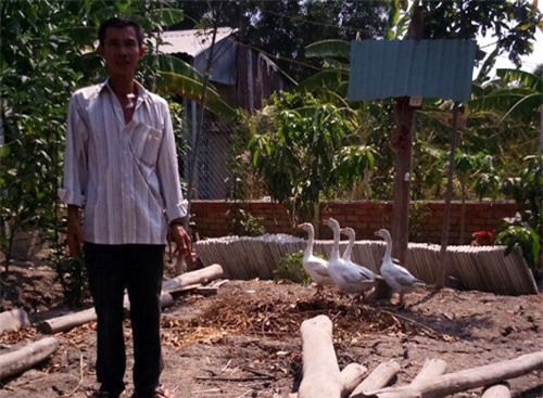 Chủ đất quán "Xin Chào" bị xử lý hình sự vì xây chòi nuôi vịt