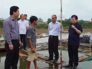 Cá chết bất thường ở miền Trung: Phó thủ tướng thị sát, chỉ đạo hỗ trợ người dân