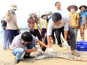 Cá chết hàng loạt: Nếu Formosa gây ô nhiễm, sẽ xử hình sự