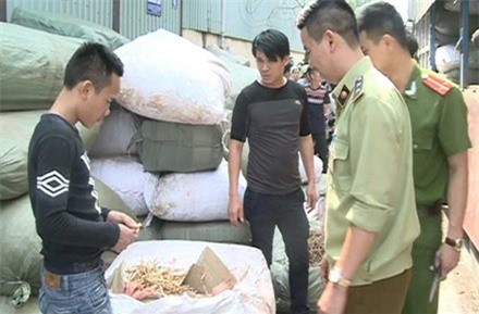 Hà Nội: Bắt giữ 6 tấn dược liệu thuốc bắc nhập lậu từ Trung Quốc