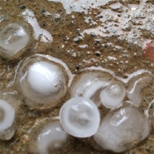 Xuất hiện mưa đá ở Nghệ An, Bình Định