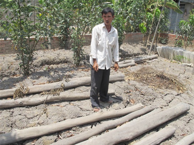 Viện KSND TP. HCM yêu cầu cung cấp hồ sơ vụ "khởi tố vì làm chòi vịt"