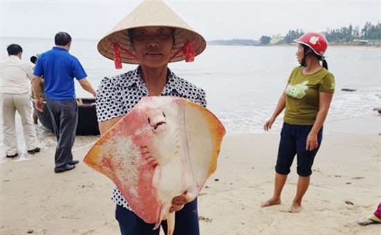 Vụ cá chết hàng loạt: Phát ngôn gây sốc của Giám đốc đối ngoại Formosa