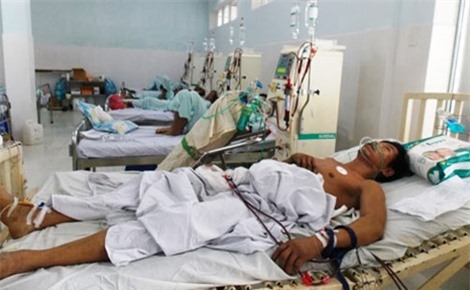 Ăn bọ rầy ở Quảng Nam: 2 người đã tử vong