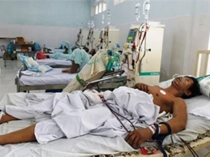 Ăn bọ rầy ở Quảng Nam: 2 người đã tử vong