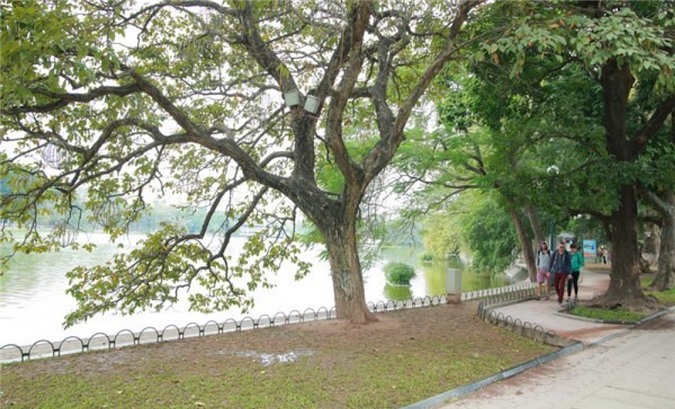 Dự báo thời tiết ngày 27/4: Bắc Bộ trời nhiều mây, mát dịu