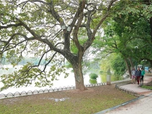 Dự báo thời tiết ngày 27/4: Bắc Bộ trời nhiều mây, mát dịu