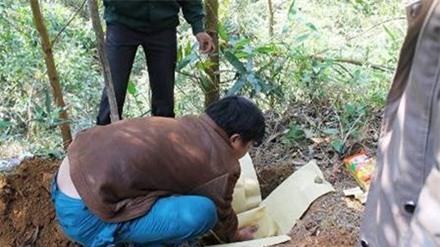 Bé gái sơ sinh suýt bị chôn sống do bác sĩ kết luận sẽ chết