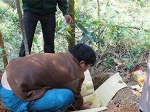 Bé gái sơ sinh suýt bị chôn sống do bác sĩ kết luận sẽ chết