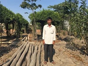 Mở quán cà phê bị khởi tố: Tại sao ông Bỉ không phạm tội?