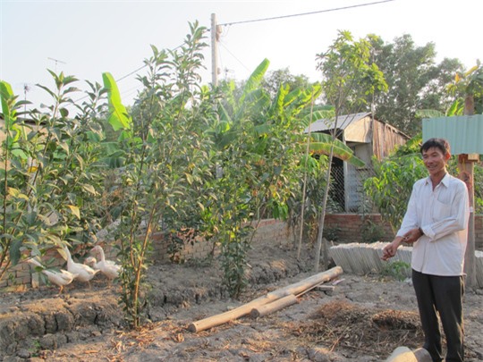 Mở quán cafe bị khởi tố: Công an rút hồ sơ vụ "chòi vịt"