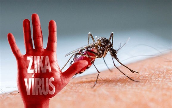 Mỹ: Cụ ông nhiễm virus Zika là người đầu tiên tử vong
