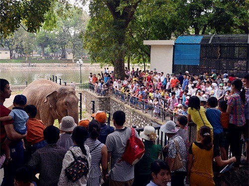 "Biển người" đổ về công viên, vườn thú