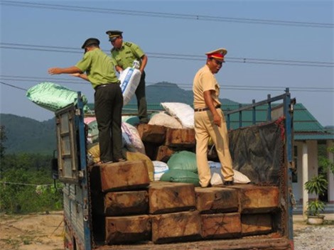 Bắt quả tang xe tải vận chuyển 6 mét khối gỗ lậu ngụy trang kỹ càng